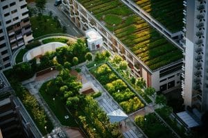 Geosynthetics on green roofs (2)